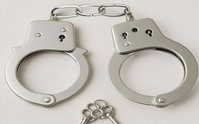 گھروں اور ہوسٹلز میں چوری کی وارداتوں میں ملوث خاتون گرفتار