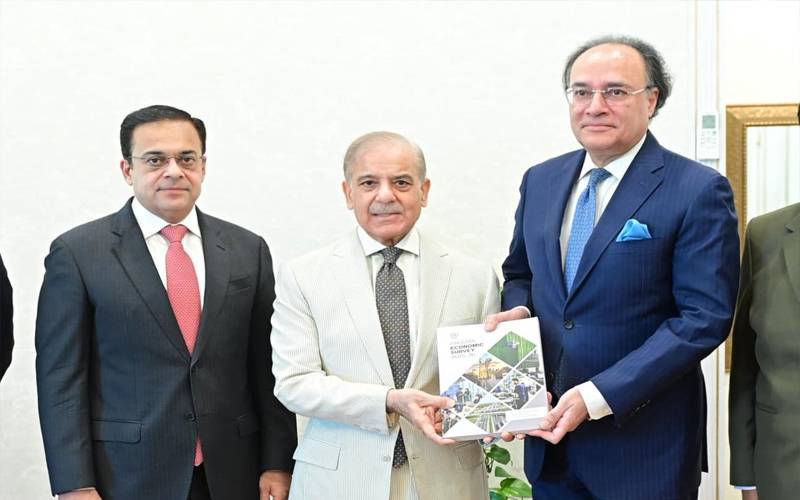 وزیراعظم سے وزیر خزانہ کی ملاقات،اکنامک سروے آف پاکستان 26-2025ء پیش کر دیا