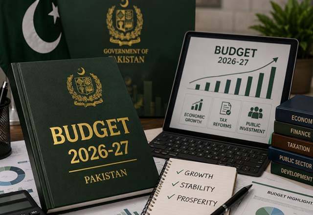آئندہ مالی سال کے بجٹ کا تخمینہ 17 ہزار 495 ارب روپے مقرر، دستاویز ات کے اہم نکات سامنے آگئے 