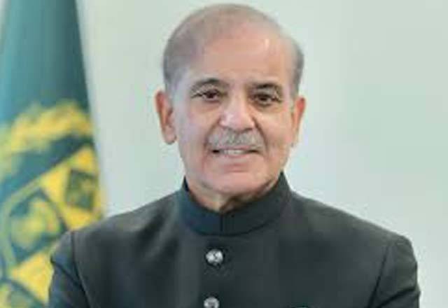  گلگت بلتستان : پیپلز پارٹی کو حکومت بنانے کی دعوت؛ مسلم لیگ ن اپوزیشن میں بیٹھے گی ؛وزیر اعظم 
