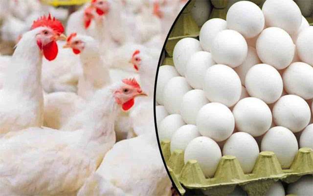  مرغی کے گوشت اور انڈوں کی قیمتیں سرکاری نرخوں سے تجاوز کر گئیں