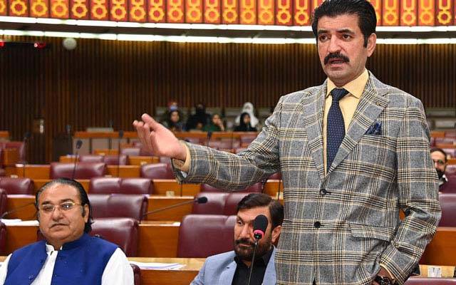 اوورسیز پاکستانیوں کے لیے بجٹ میں کچھ نظر نہیں آیا؛ شیر افضل مروت