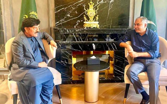 وفاقی وزیر داخلہ محسن نقوی سے صوبائی وزیر سندھ علی حسن زرداری کی اہم ملاقات