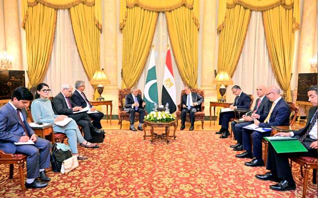 پاکستان اور مصر کے وزرائے خارجہ کی ملاقات، دوطرفہ تعاون مزید بڑھانے پر اتفاق
