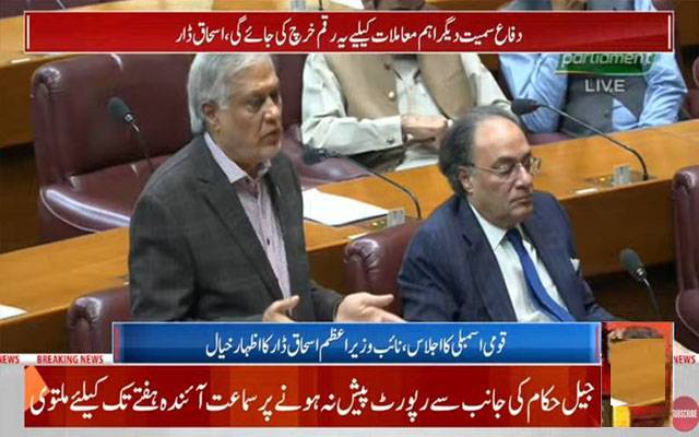 فیڈرل گرانٹس کی فراہمی پر صوبوں کا کردار لائق تحسین ہے: اسحاق ڈار