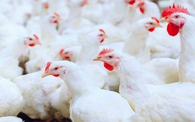 شہریوں کیلئے بری خبر، برائلر گوشت اور فارمی انڈے مزید مہنگے