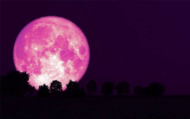 پاکستان میں سٹرابیری مون کب نظر آئے گا؟ تاریخ اور تفصیلات سامنے آ گئیں