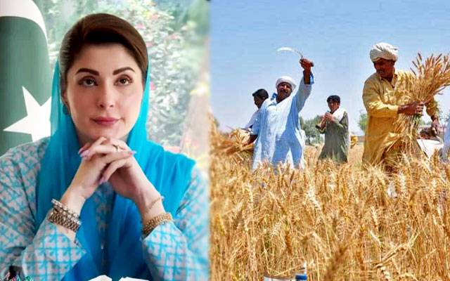پنجاب میں کسانوں کے لیے بڑی خوشخبری، بورہول سسٹم پر 70 فیصد سبسڈی منظور
