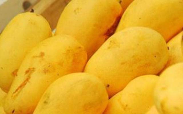 آم کے حیرت انگیز فوائد