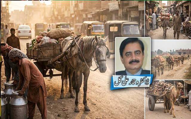 خاموش قدموں کی تھکن;گھوڑوں، گدھوں اور خچروں کے کندھوں پر چلتی معیشت کی ان کہی داستان
