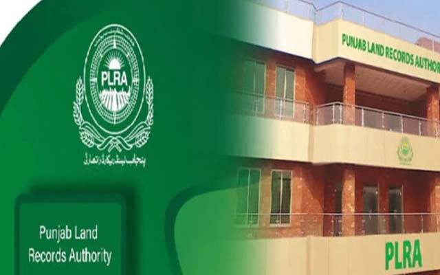 پنجاب میں 