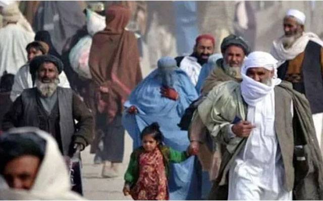 غیر قانونی طور پر مقیم افغان باشندوں کے انخلاء کی مہم، اب تک کتنے واپس بھجوائے گئے؟ 