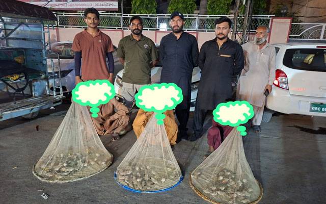  وائلڈ لائف کا چھاپہ، 225 زندہ چڑیاں برآمد، ملزمان کے خلاف مقدمہ درج