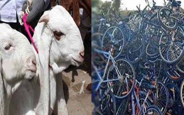 لاہور: رواں سال سائیکل چوری کے 156، مویشی چوری کے 508 مقدمات درج