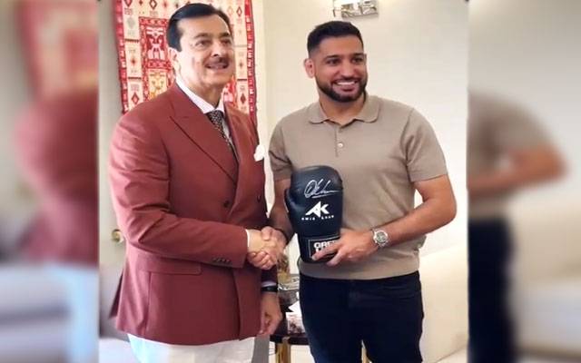 باکسرعامر خان سیاست میں آنے کے خواہشمند، چیئرمین سینیٹ سے اہم ملاقات