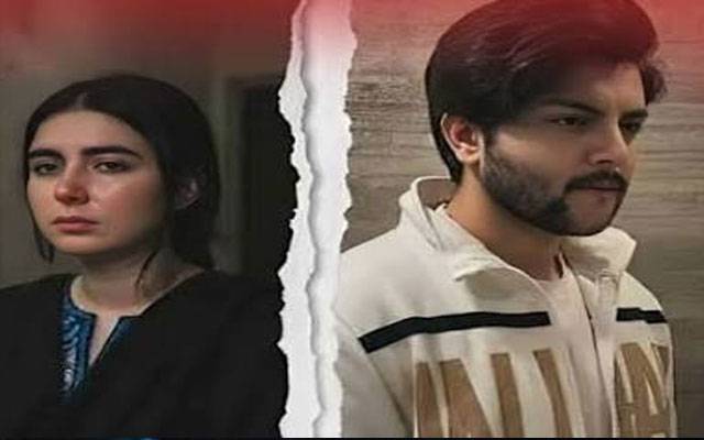 علی حیدر آبادی نے اہلیہ کی میڈیکل رپورٹ عدالت میں چیلنج کر دی