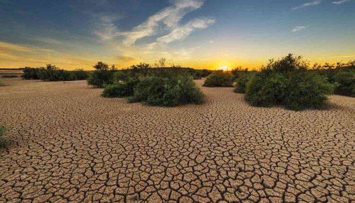 موسمیاتی تبدیلی کے بڑھتے اثرات پاکستانی غذائی سلامتی کیلئے بڑا چیلنج