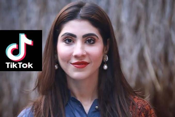 حنا پرویز بٹ کی ٹک ٹاکرز اور وی لاگرز پر تنقید