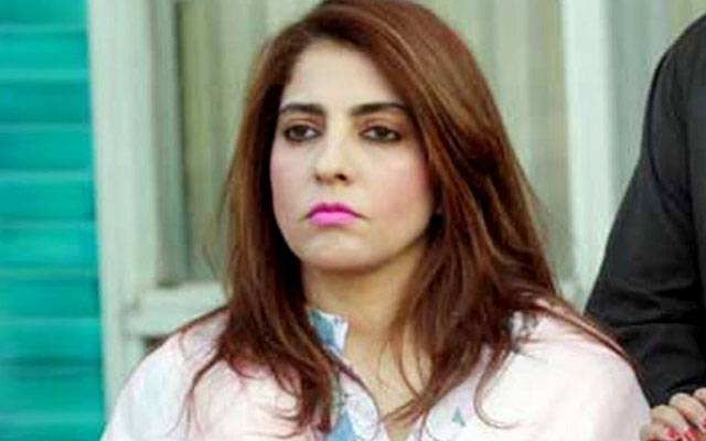 پنجاب سیلاب سے متاثر، ن لیگ کو صرف انتخابات میں کشمیر یاد آتا ہے، پلوشہ خان