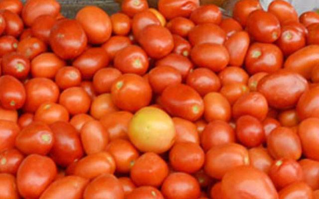  ٹماٹر کی قیمت 400 روپے   فی کلو تک جا پہنچی