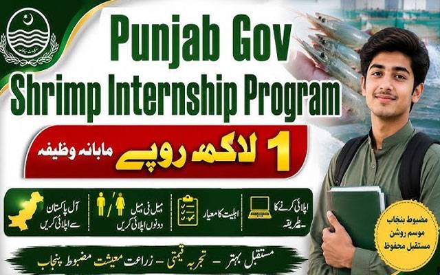 حکومت کا شرمپ ایکواکلچر انٹرن شپ پروگرام 2026-27 شروع کرنے کا اعلان
