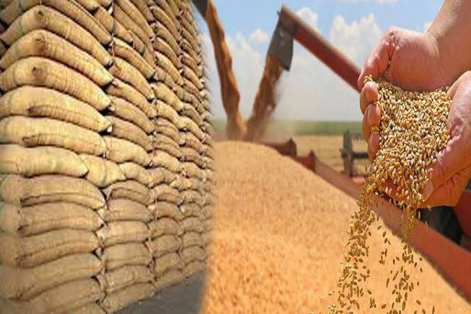 وفاقی حکومت کا10 لاکھ میٹرک ٹن گندم درآمد کرنے کا فیصلہ
