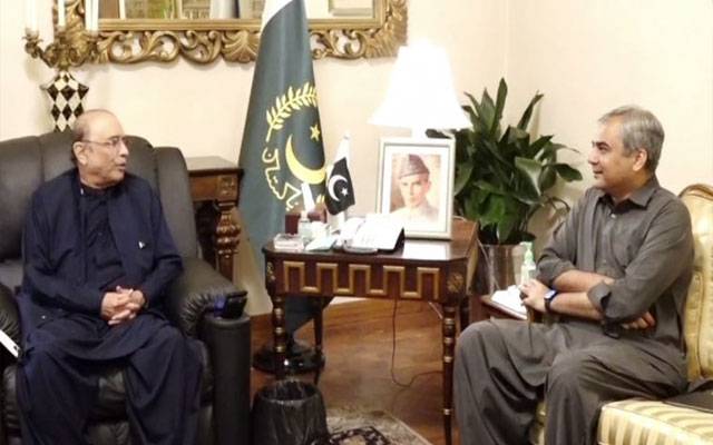 صدر آصف زرداری سے وزیر داخلہ محسن نقوی کی ملاقات, امن و امان کی صورتحال پر گفتگو