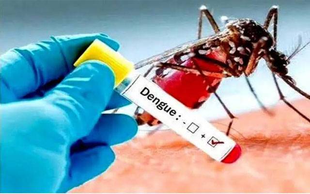 موسم برسات ، ڈینگی سیزن کا آغاز ،سرکاری ہسپتالوں میں انتظامات ناکافی