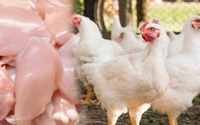 برائلر گوشت کی قیمت میں اضافہ