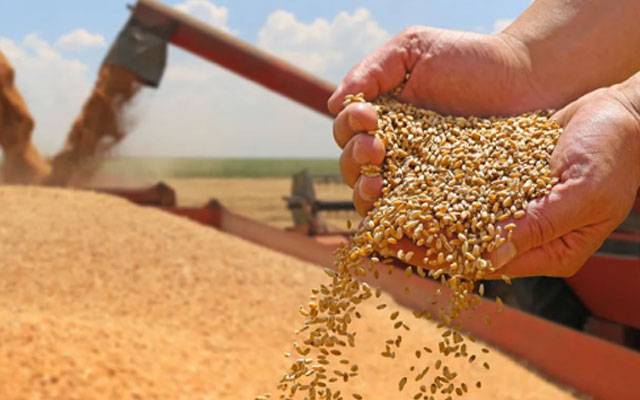 پنجاب حکومت نے گندم کی نئی ریلیز پرائس 3 ہزار 800 روپے فی من مقرر کر دی