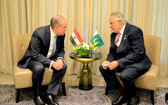 اسحاق ڈار اور مصر کے وزیر خارجہ کی ملاقات، باہمی تعاون بڑھانے پر اتفاق