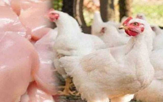 برائلر گوشت کی قیمت میں 26 روپے فی کلو اضافہ