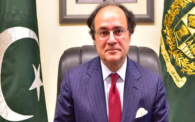 وزیر خزانہ محمد اورنگزیب کا یوم آزادی پر پیغام 
