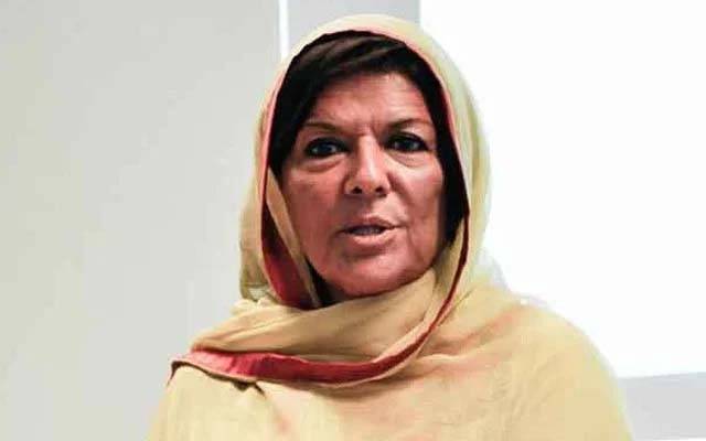 راولپنڈی اسلام آباد ہائی کورٹ کو بشری بی بی اور بانی کو ضمانت بھی دے دینی چاہئیے: علیمہ خان 