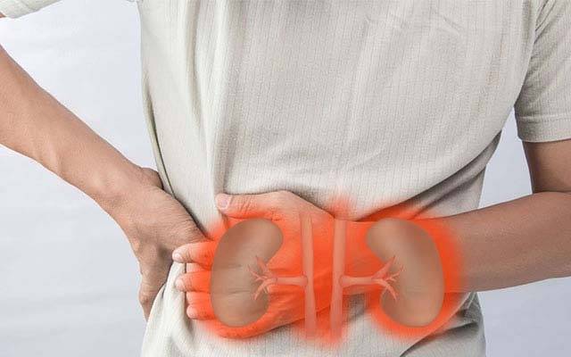 گردوں کے تکلیف دہ امراض کا خطرہ بڑھانے والی عام غذائیں