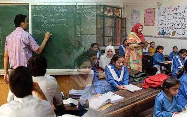سرکاری اسکولوں میں تعلیم کے ساتھ اب سبزیاں بھی اگانا ہونگی، محکمہ تعلیم کی سخت ہدایات