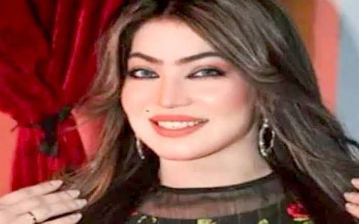 اداکارہ زرین کو دھمکیاں اور تشدد، پولیس نے ایک ملزم گرفتارکرلیا