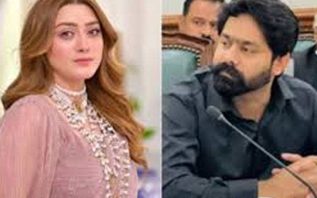 صلح کی کوشش یا بلیک میلنگ؟ مومنہ اقبال نے راز کھول دیا