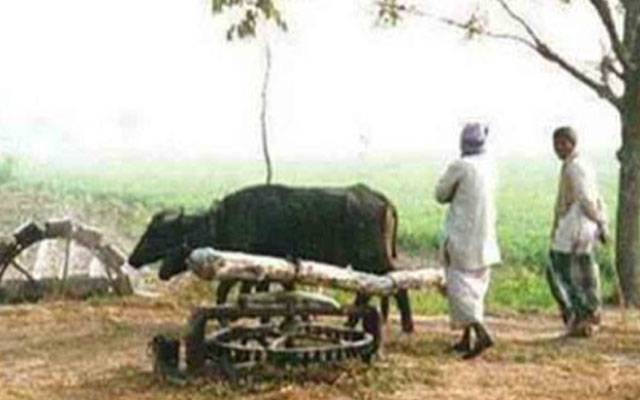 دیہی علاقوں کے پانی وسیوریج منصوبوں سے کاربن کریڈٹس حاصل کرنے کا فیصلہ