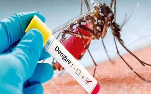 لاہور میں انسداد ڈینگی کارروائیوں کا جائزہ، سرکاری اداروں میں بھی سروے کی ہدایت