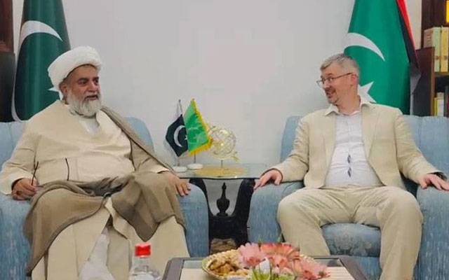 روسی سفیر کی راجہ ناصر عباس سے ملاقات، پاک روس تعلقات پر گفتگو