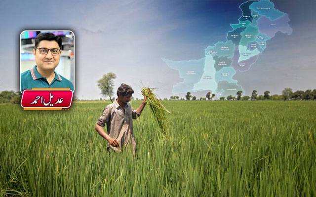 نئے صوبے کیوں ضروری ہیں؟ایک کہانی کاشتکار کی زبانی