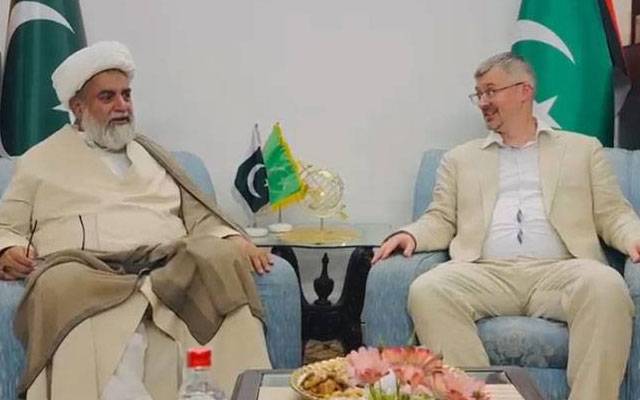  روس کے سفیر البرٹ پیخروف کی راجہ ناصر عباس سے ملاقات 