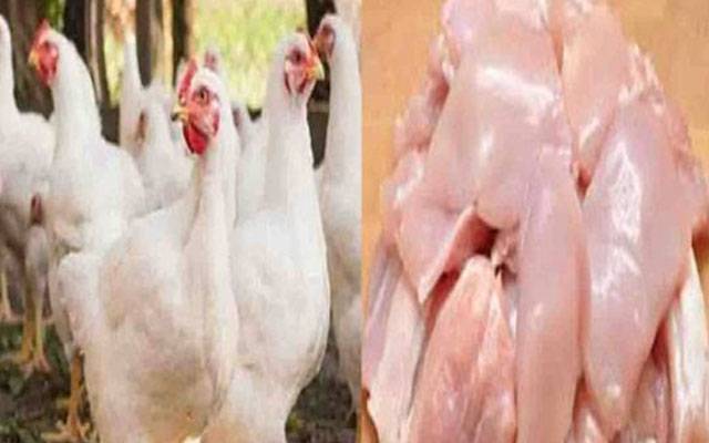 برائلر گوشت 7 روپے فی کلو سستا 