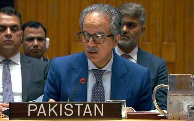 حوثی حملے خطے کے امن و استحکام کیلئے بڑا خطرہ ہیں:پاکستان،سعودی عرب کی خودمختاری ،سلامتی کی مکمل حمایت کا اعادہ