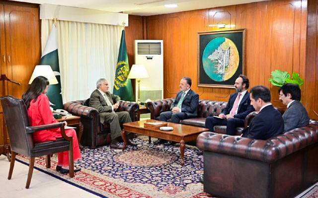 ترکیہ کے سفیر عرفان نزیروغلو کی نائب وزیراعظم اسحاق ڈار سے ملاقات 