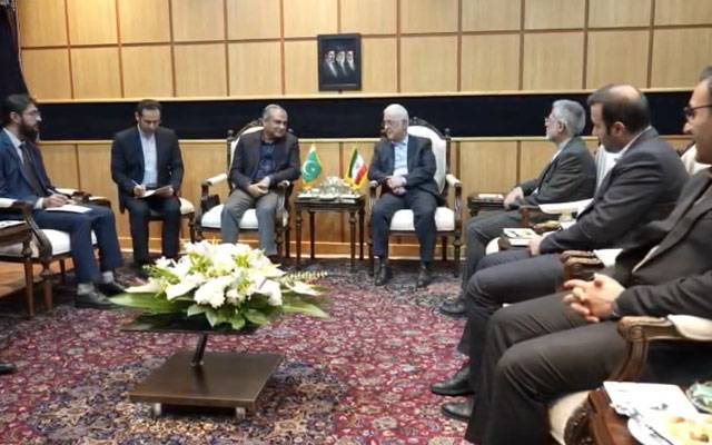 وزیر داخلہ محسن نقوی کی ایرانی ہم منصب اسکندر مومنی سے ملاقات، خطے کی تازہ ترین صورتحال پر تبادلہ خیال 