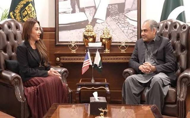 محسن نقوی سے امریکی سفیر نیٹلی بیکر کی ملاقات،علاقائی سکیورٹی کے امور پر تبادلہ خیال