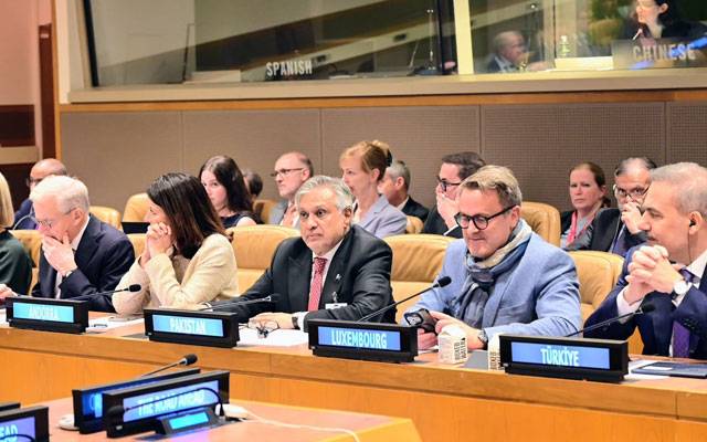 پاکستان کا مقصد فلسطینی ریاست کا قیام، غزہ میں جنگ بندی اور انسانی امداد یقینی بنائی جائے، اسحاق ڈار