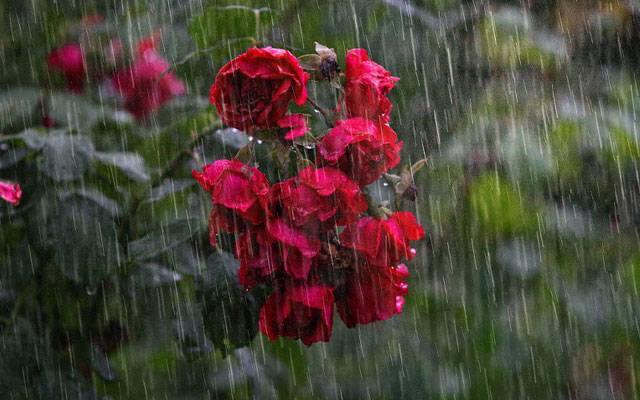آج اور کل موسم کیسا رہے گا ؟ محکمہ موسمیات نے بتادیا 